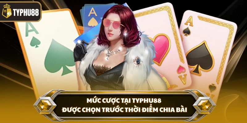 Mức cược tại Typhu88 được chọn trước thời điểm chia bài